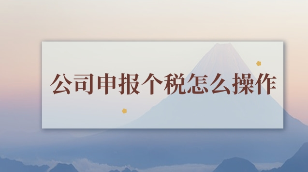 個(gè)人申報(bào)個(gè)稅怎么操作(公司申報(bào)年度個(gè)稅怎么操作)