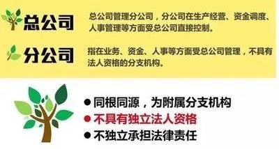 注冊子公司好還是分公司好，子公司和分公司有什么區(qū)別？